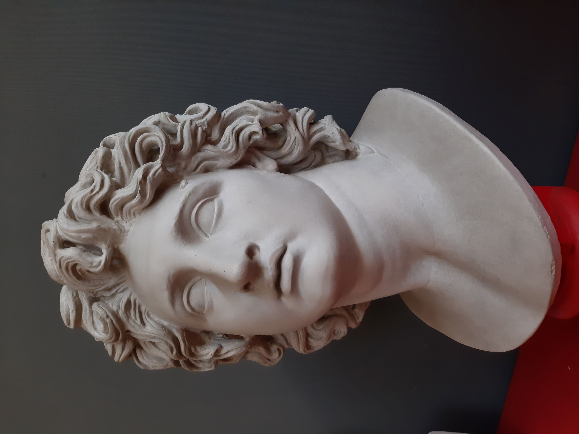 Head1.jpg
