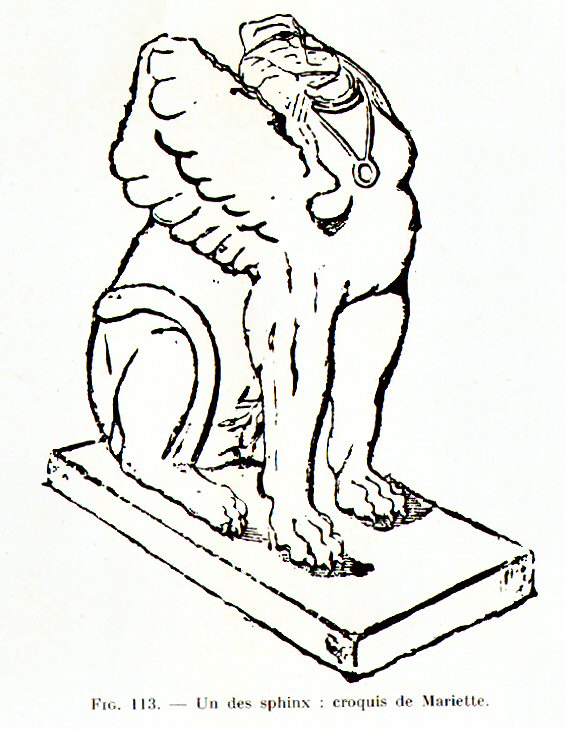 Drawing of one of the Serapeum sphinxes