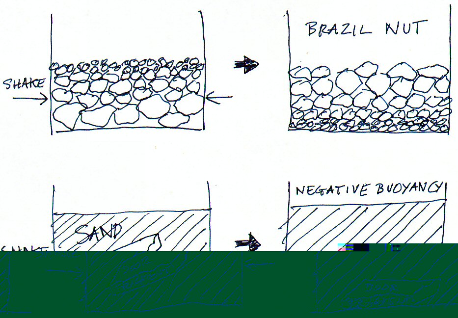 Brazil Nut vs Negative Buoyancy